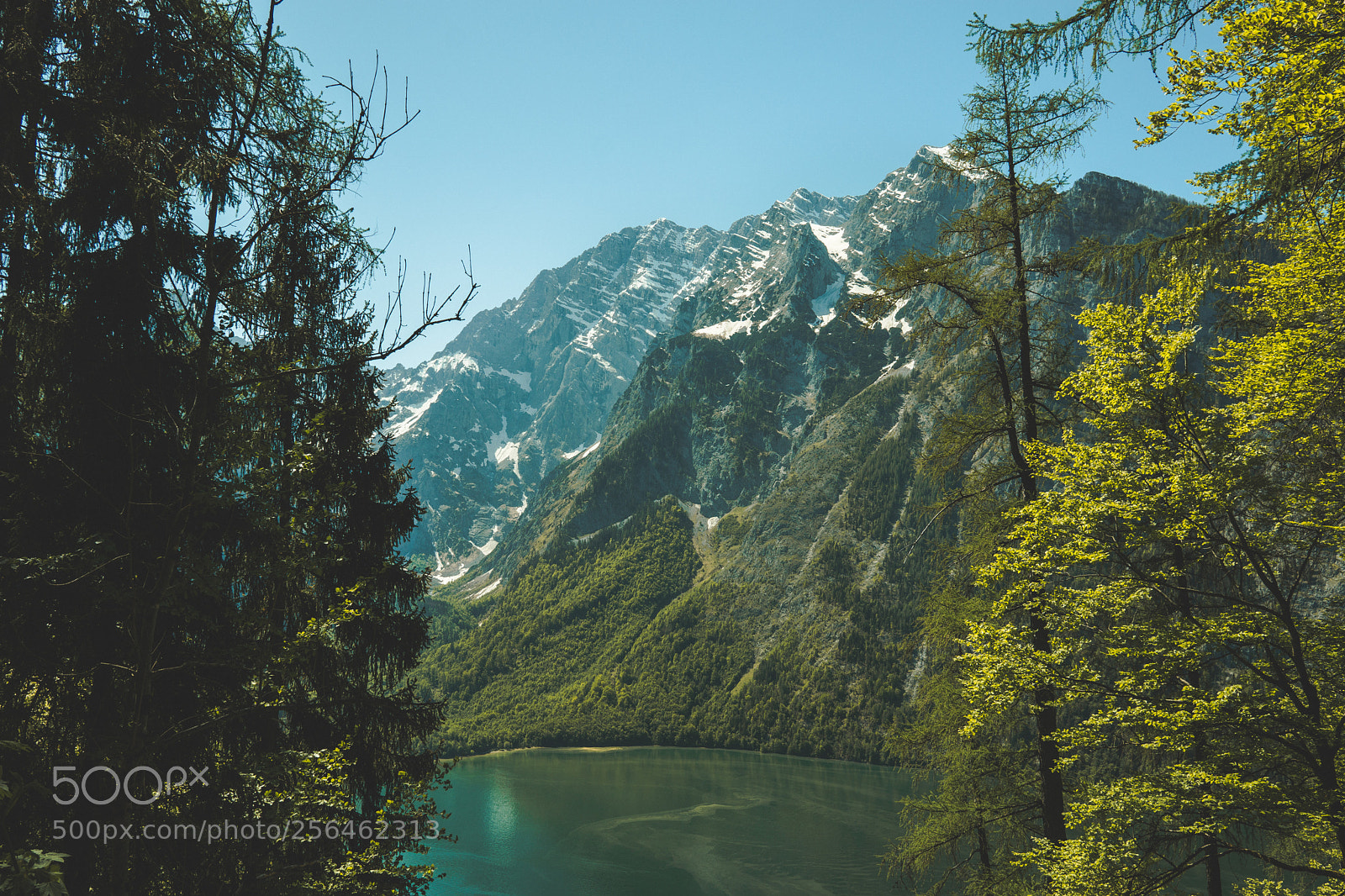 Sony a6000 sample photo. Königssee photography