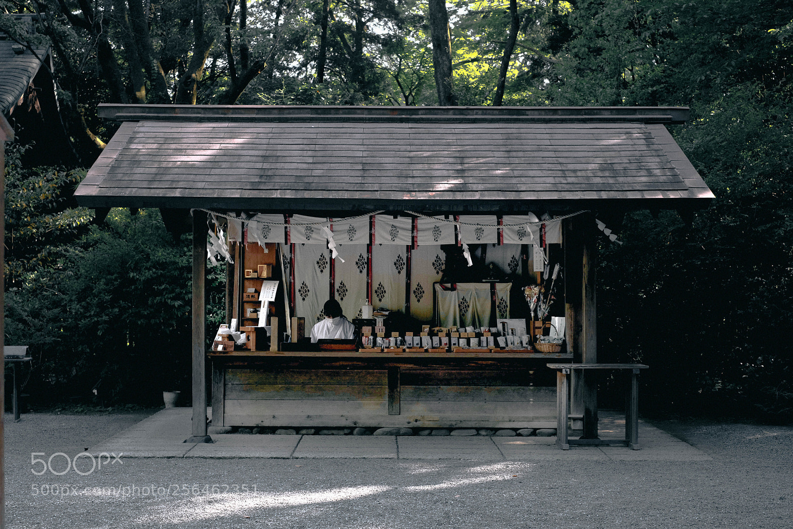 Fujifilm X-T20 sample photo. Untitled photography