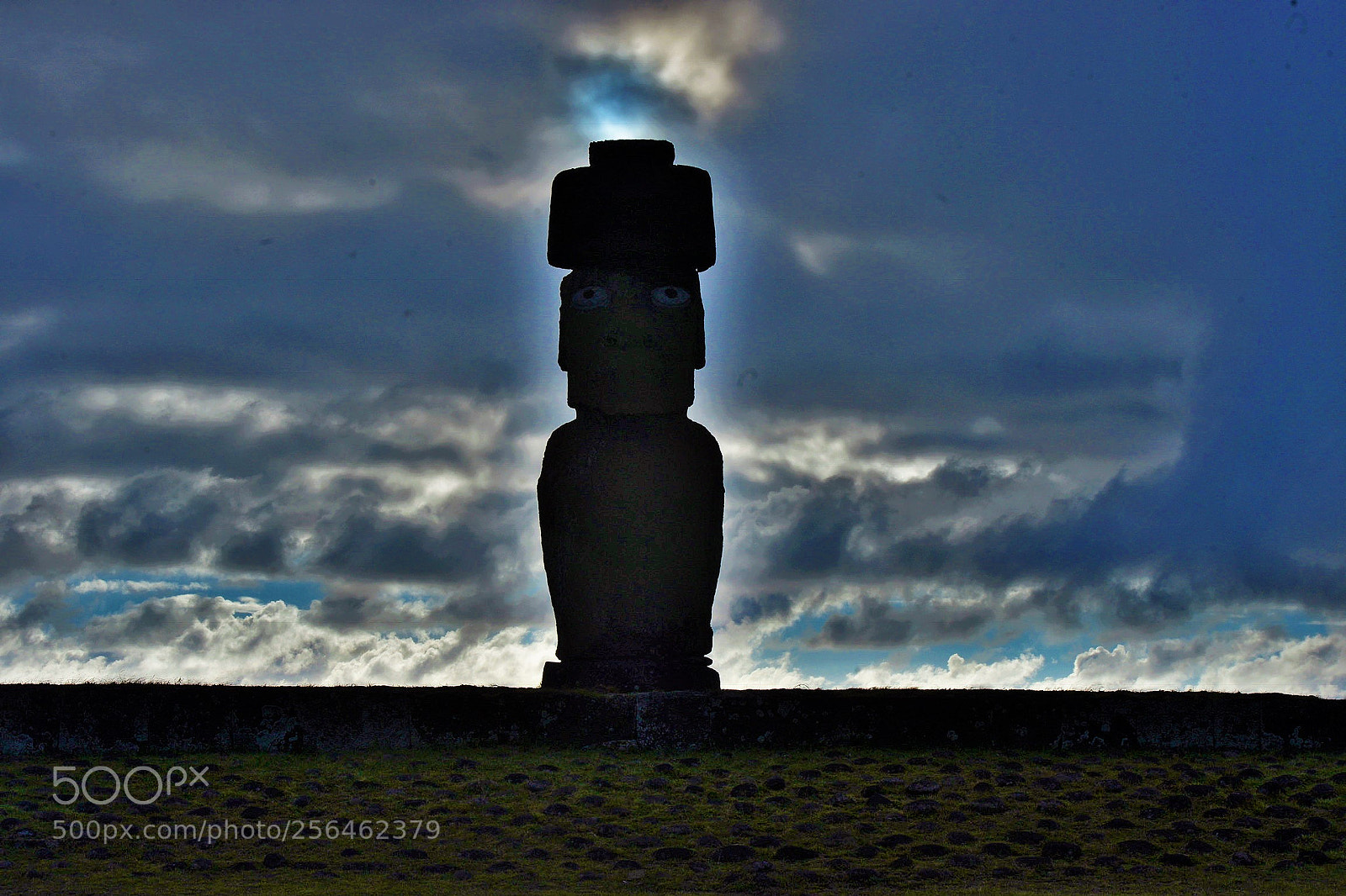 Nikon D800 sample photo. Moai eastern island photography