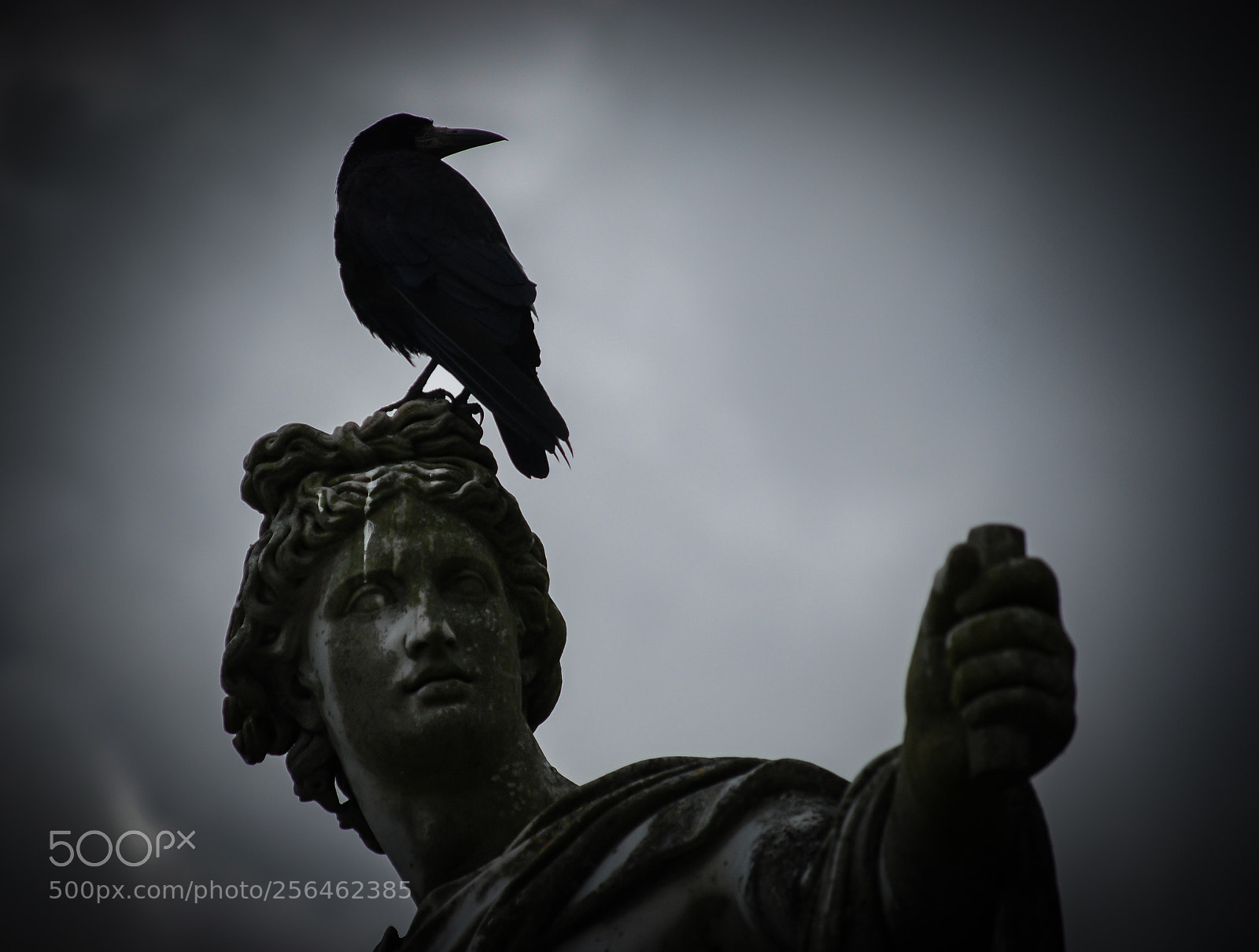 Nikon D80 sample photo. Eternal glory photography