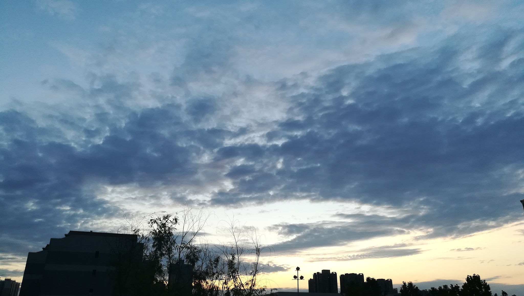 HUAWEI c??Eu?s 6X sample photo. 西安 云 photography
