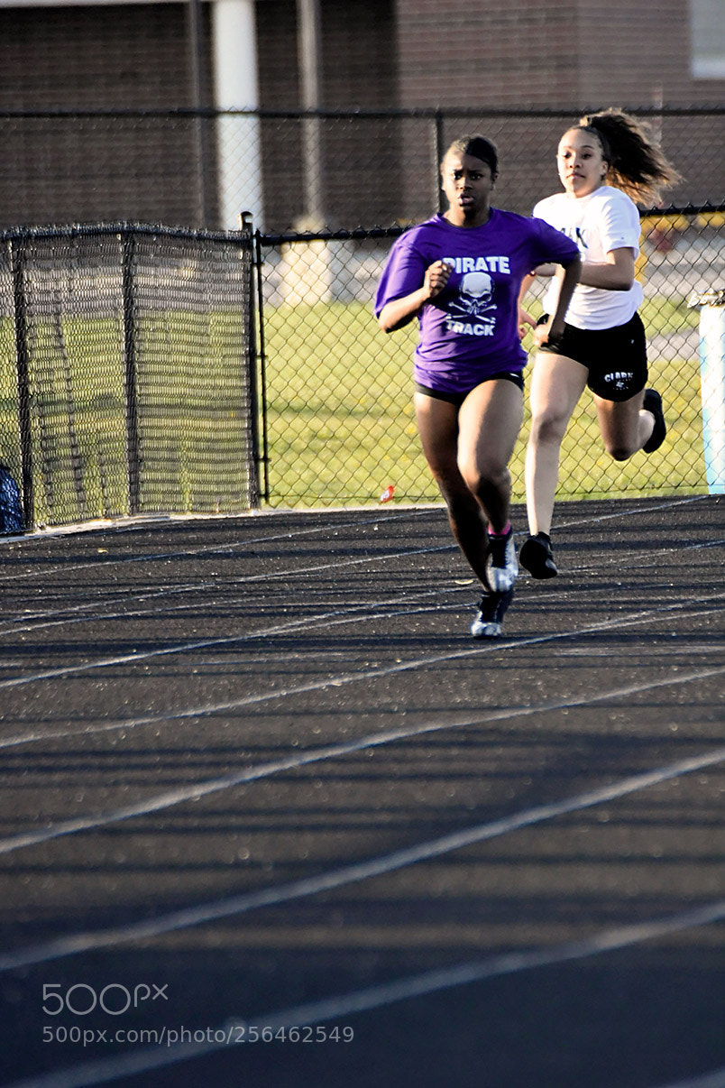 Nikon D500 sample photo. 4-30_1113.jpg photography