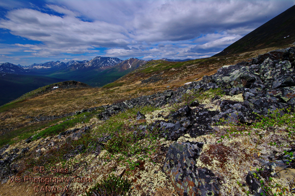 Pentax K-7 sample photo. Tombstone territorial park photography