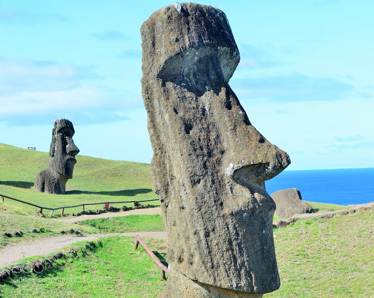 Nikon D800 sample photo. Moai eastern island photography
