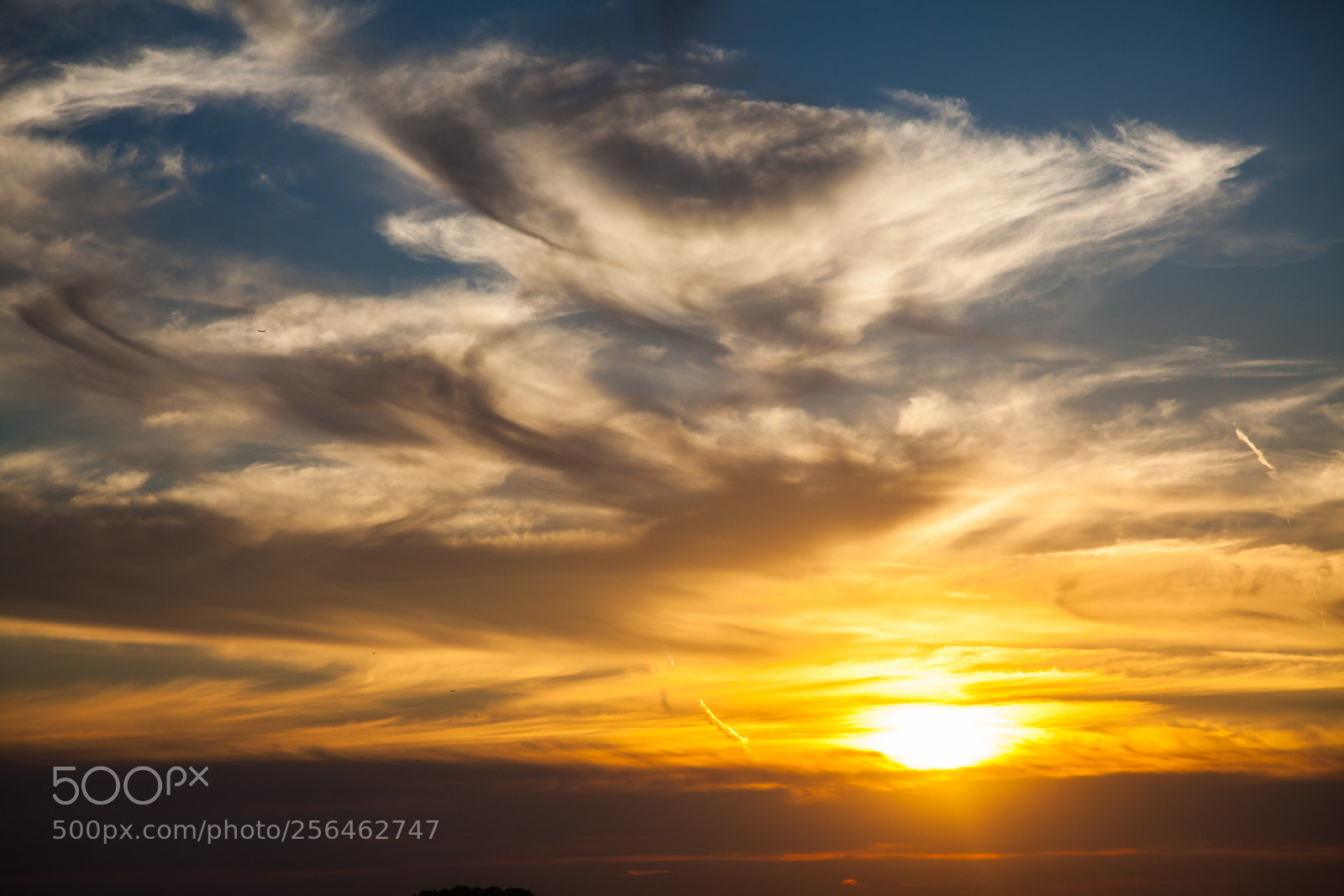 Canon EOS 5D Mark II sample photo. Untitled photography