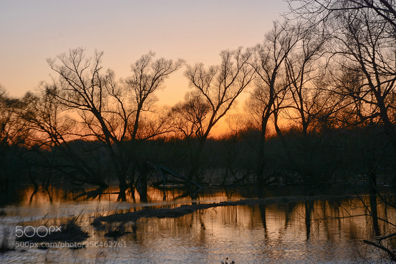Nikon D7100 sample photo. Отразился закат оранжево... photography
