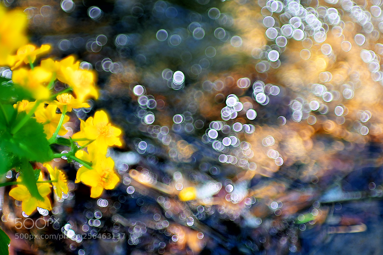 Sony a9 sample photo. Drift photography