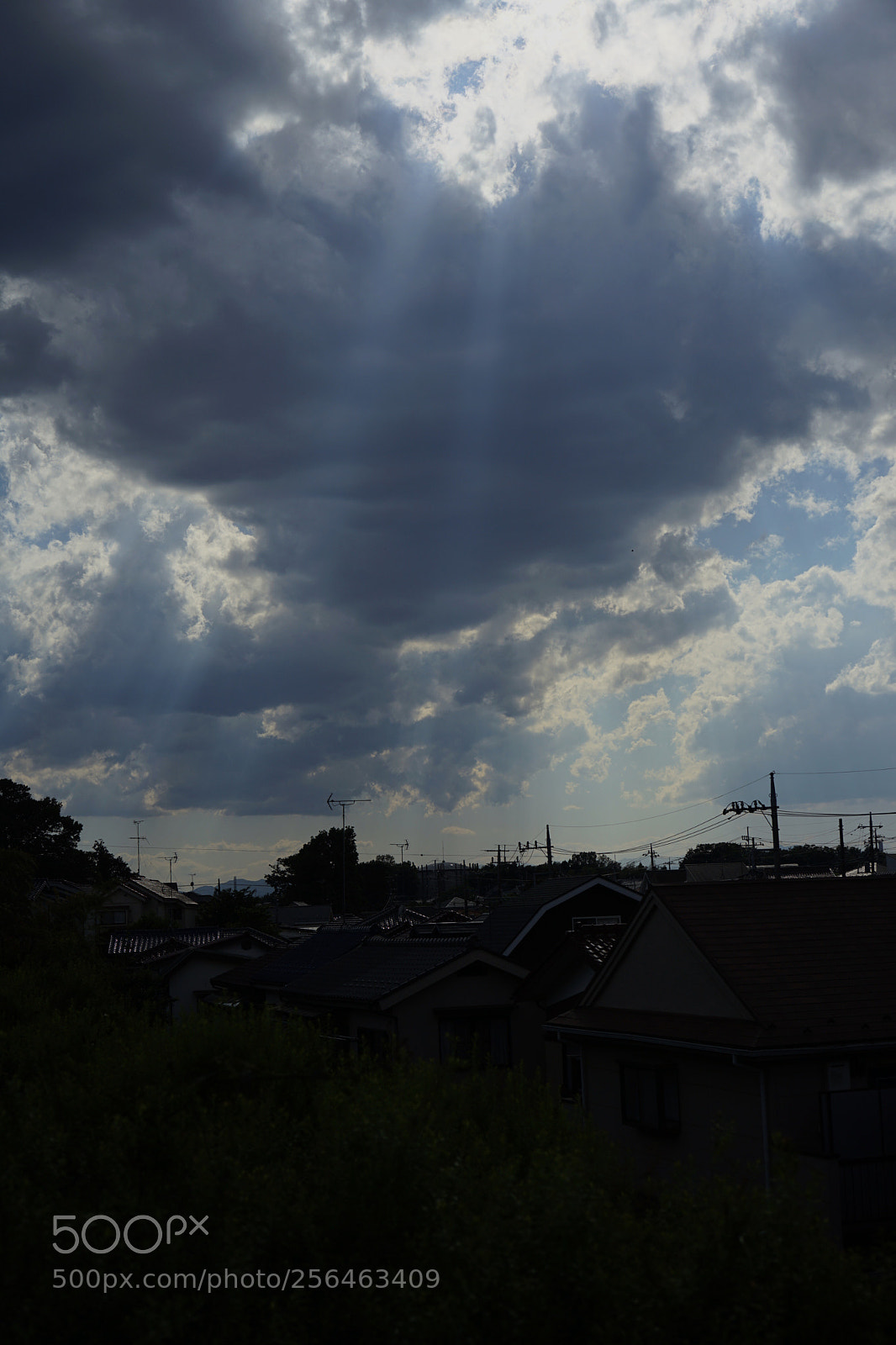 Sony a7 II sample photo. Stairway to heaven. photography