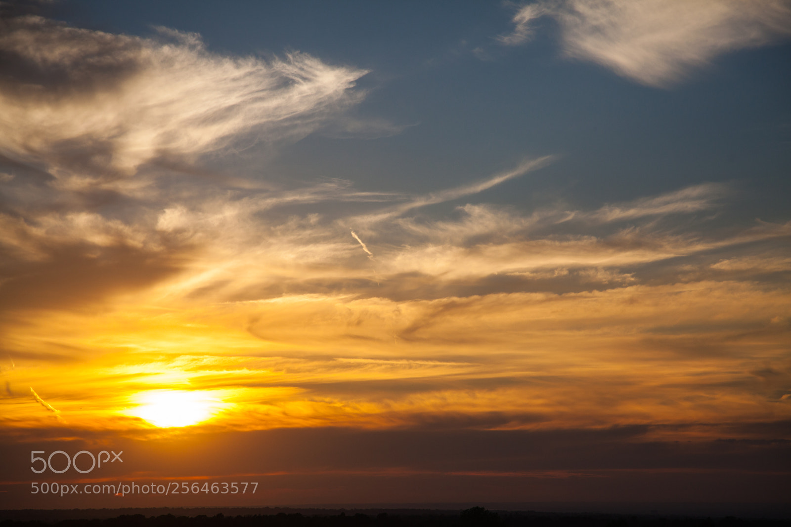 Canon EOS 5D Mark II sample photo. Untitled photography