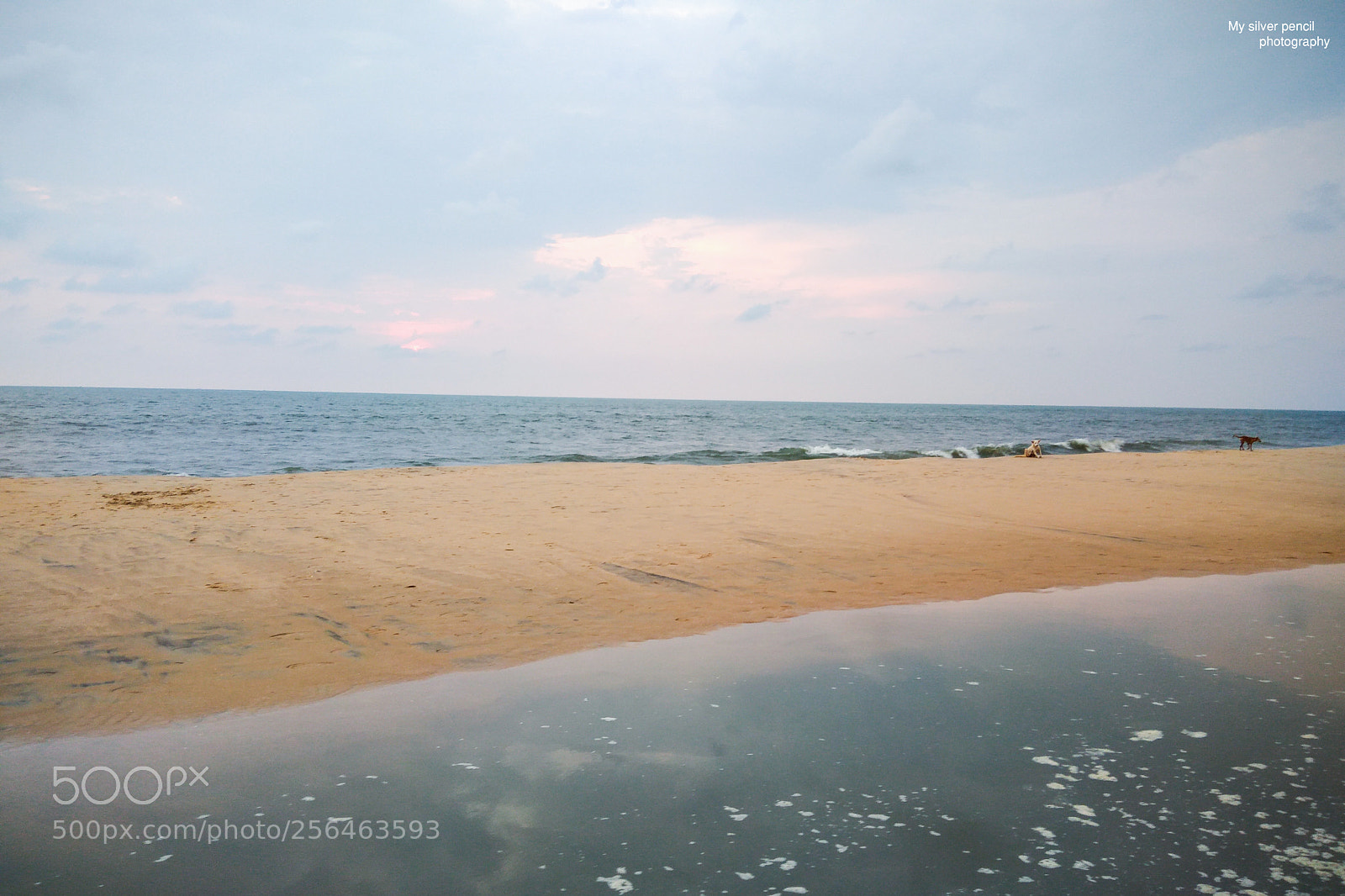 Nikon D5300 sample photo. Marari beach photography