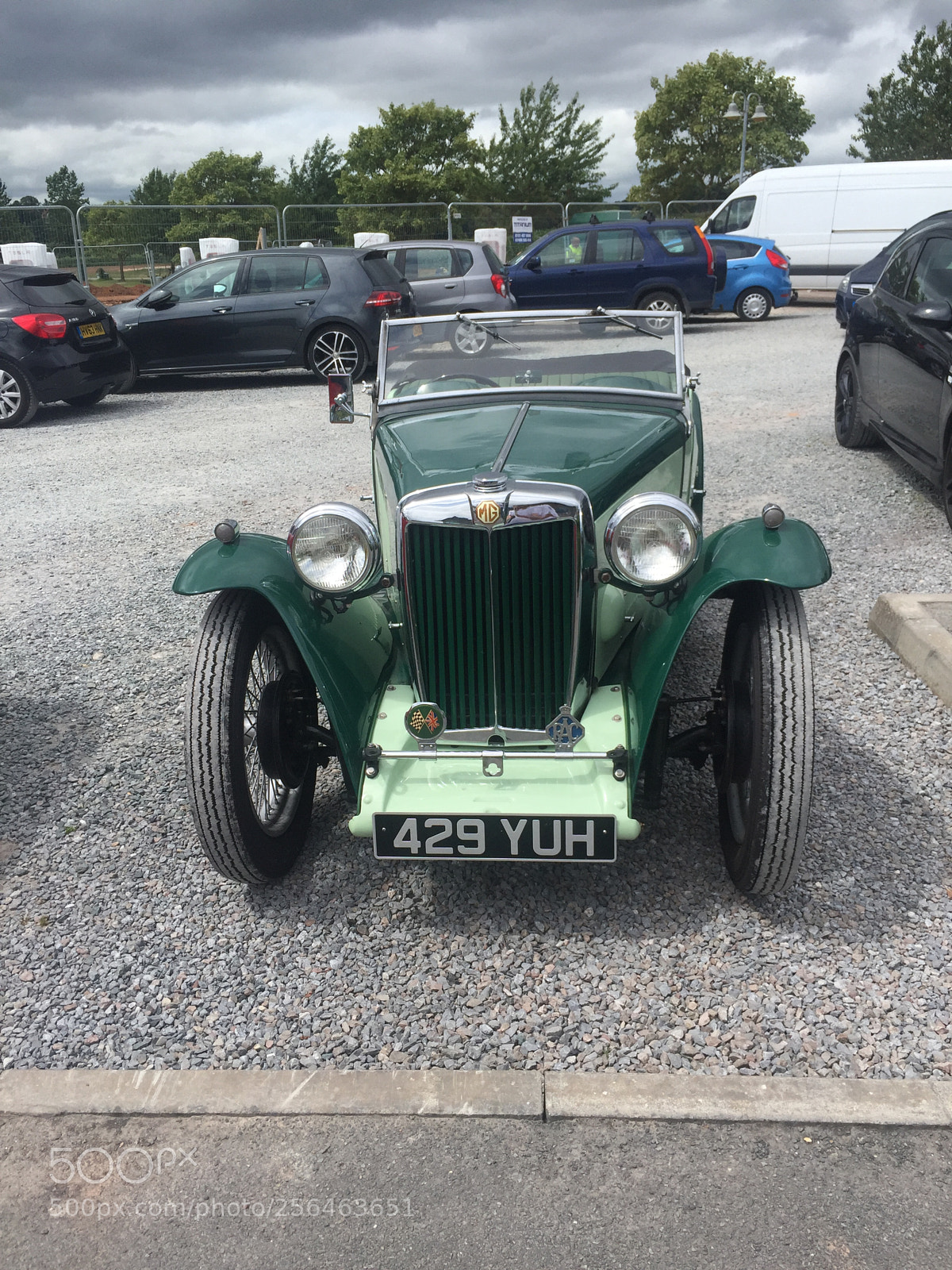 Apple iPhone 6 sample photo. 1946 mg tf photography