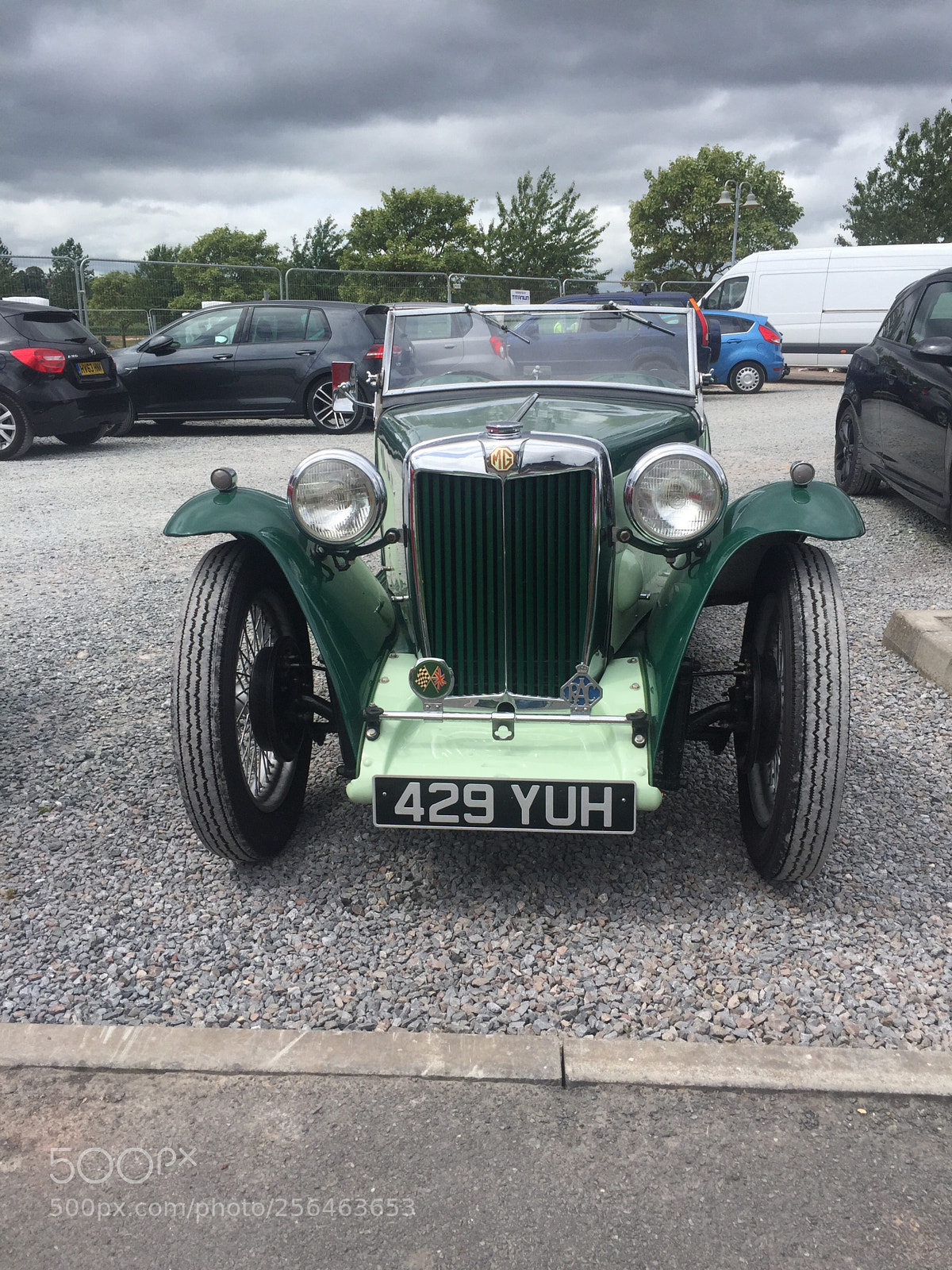 Apple iPhone 6 sample photo. 1946 mg tf photography