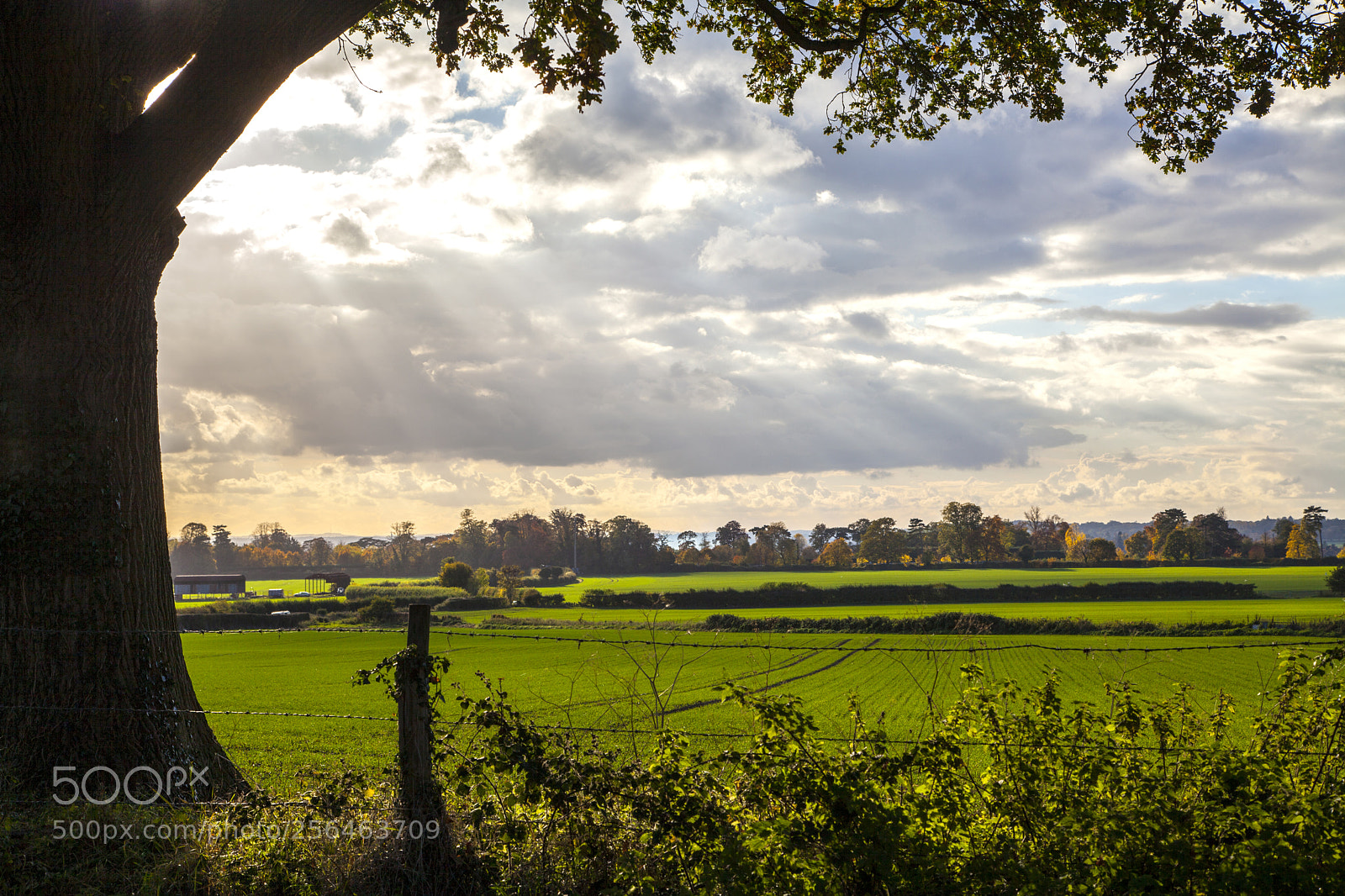 Canon EOS 5D Mark II sample photo. Dramatic clouds over english photography