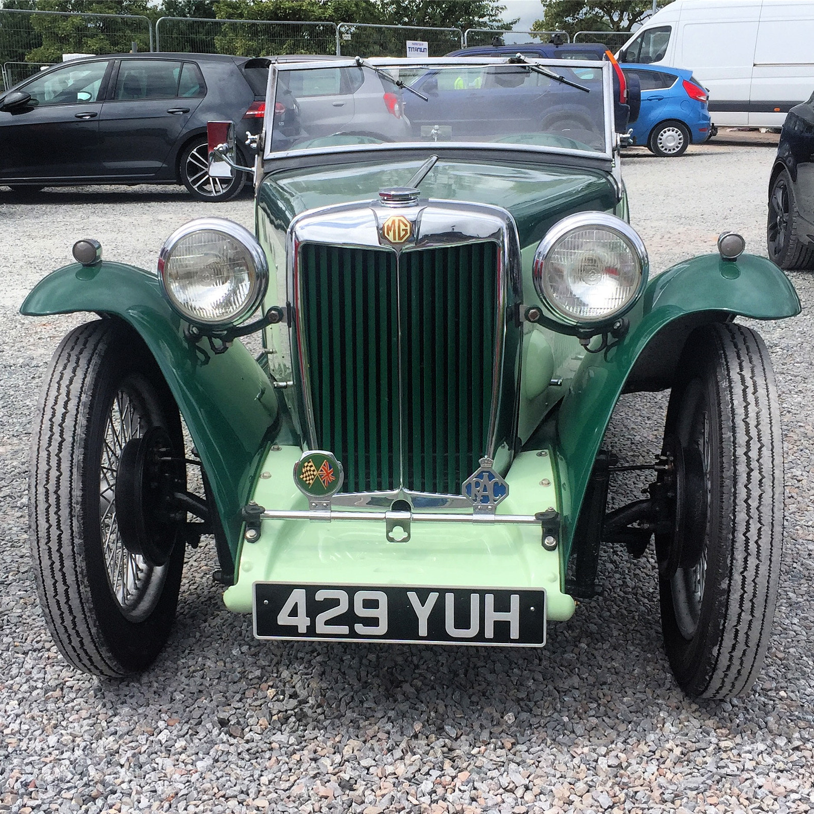 Apple iPhone 6 sample photo. 1946 mg tf photography