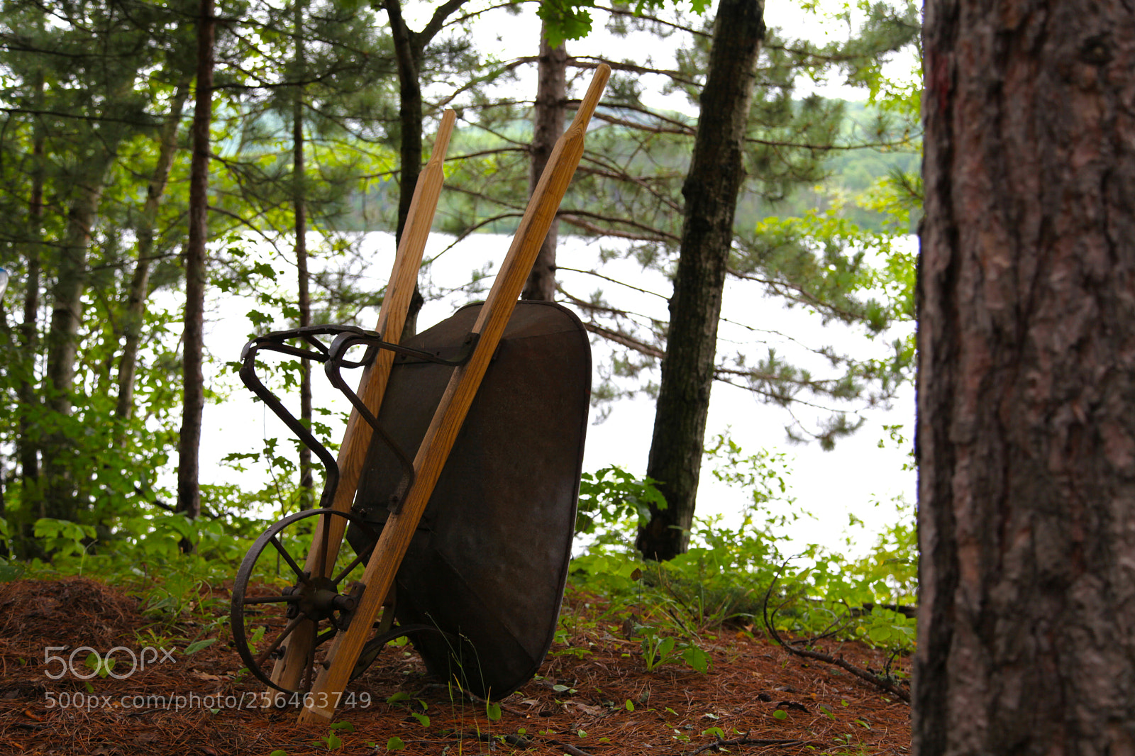 Canon EOS 5D Mark II sample photo. Old wheelbarrow leaning on photography