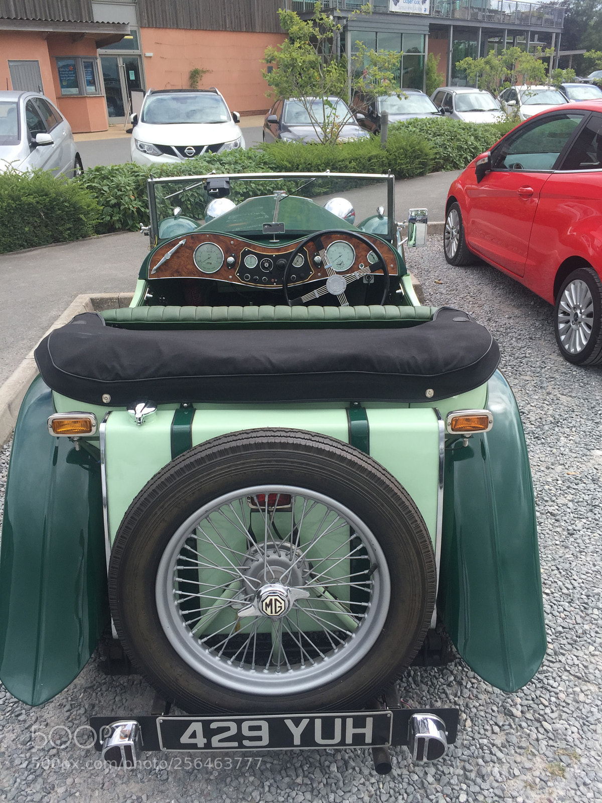 Apple iPhone 6 sample photo. 1946 mg tf photography
