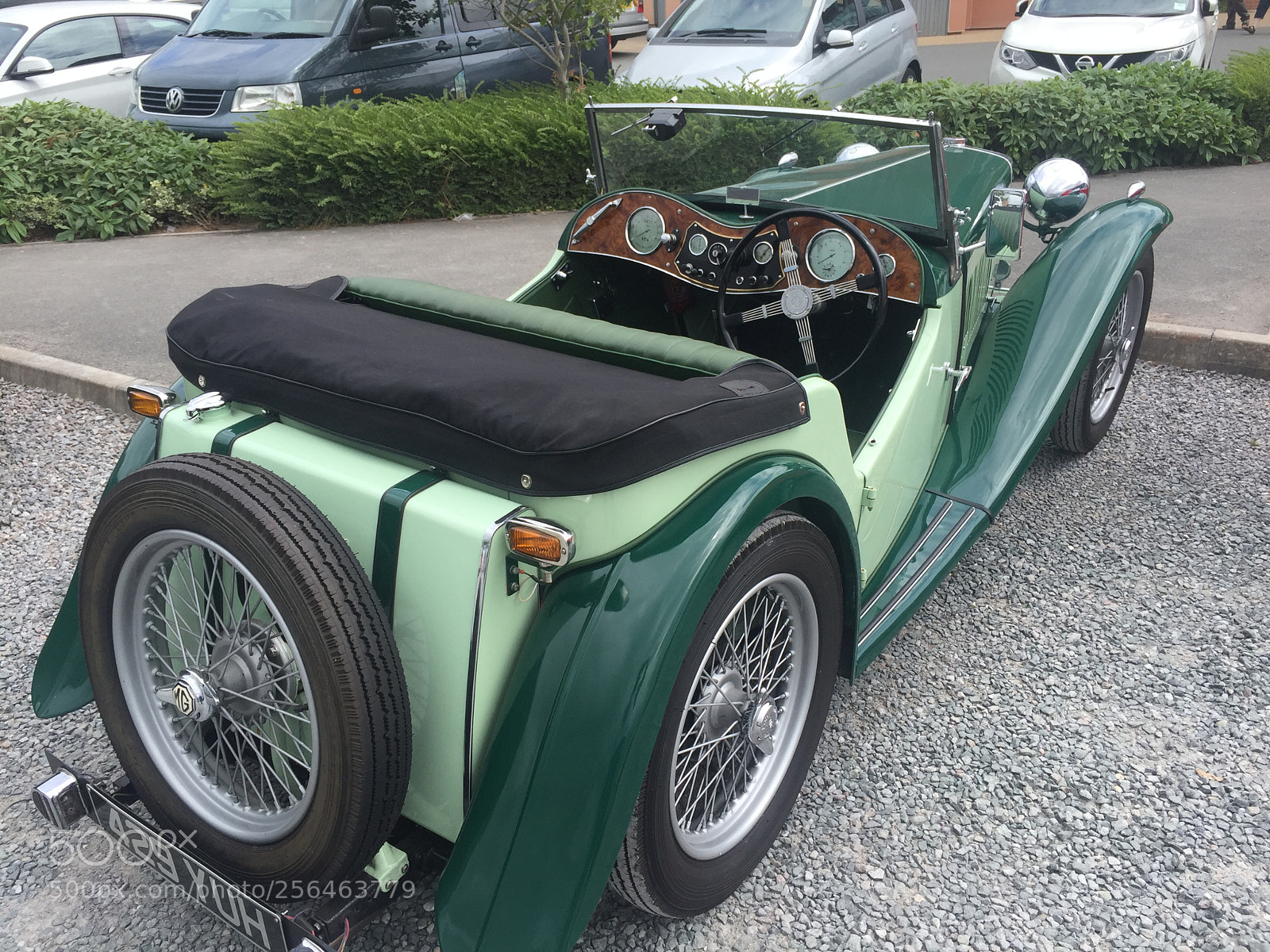 Apple iPhone 6 sample photo. 1946 mg tf photography