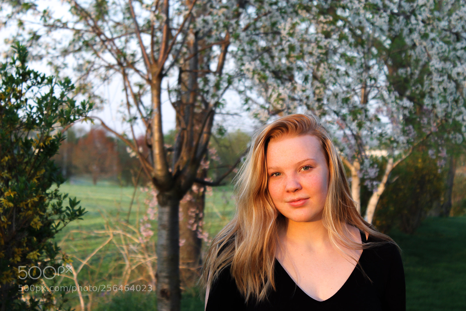 Canon EOS 1100D (EOS Rebel T3 / EOS Kiss X50) sample photo. Golden hour ii photography