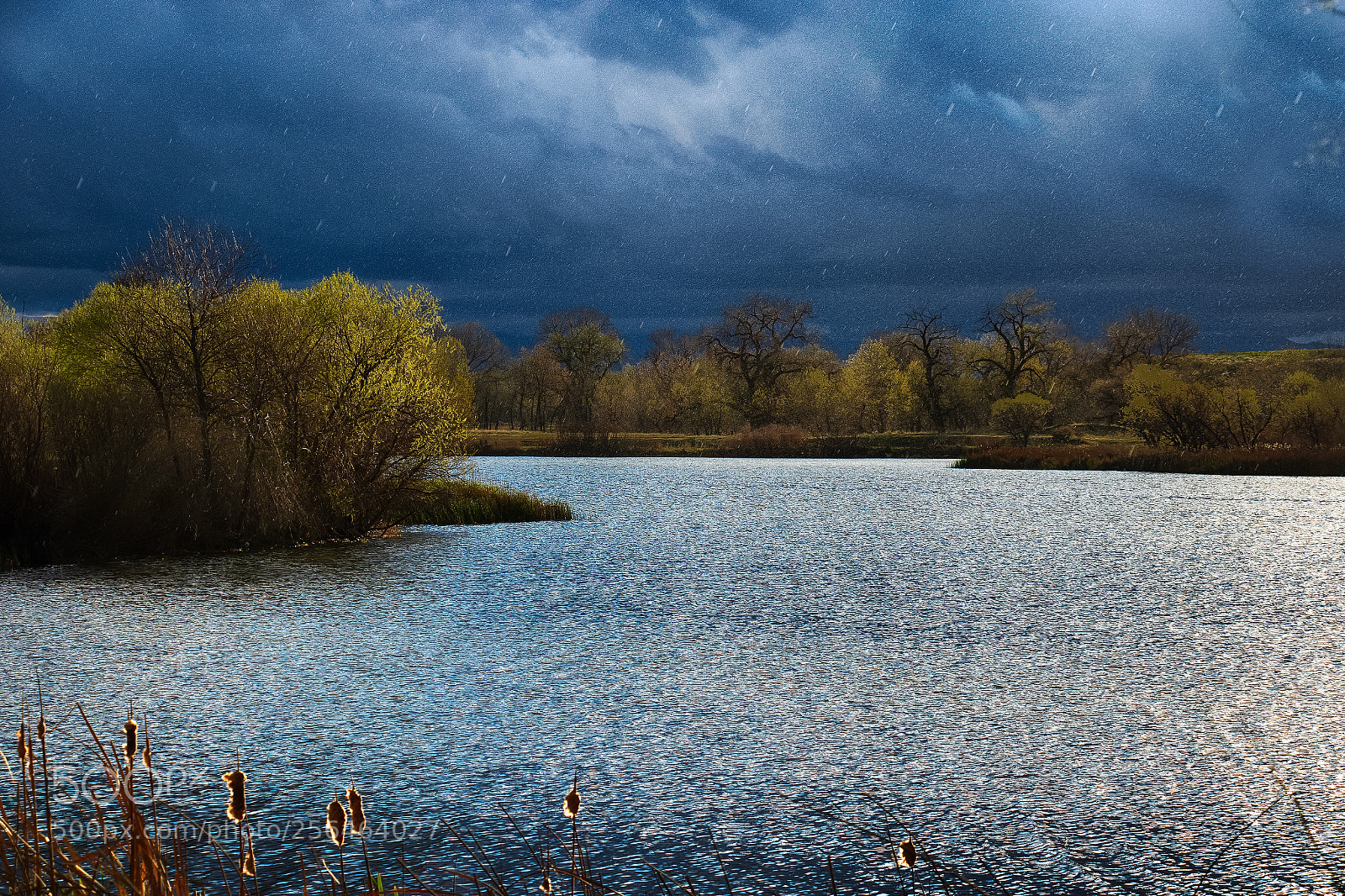 Canon EOS 7D Mark II sample photo. Let the rains begin photography