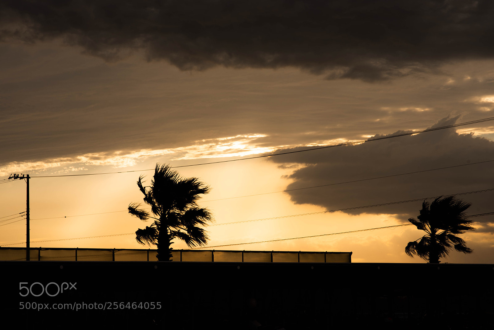 Nikon D750 sample photo. Untitled photography