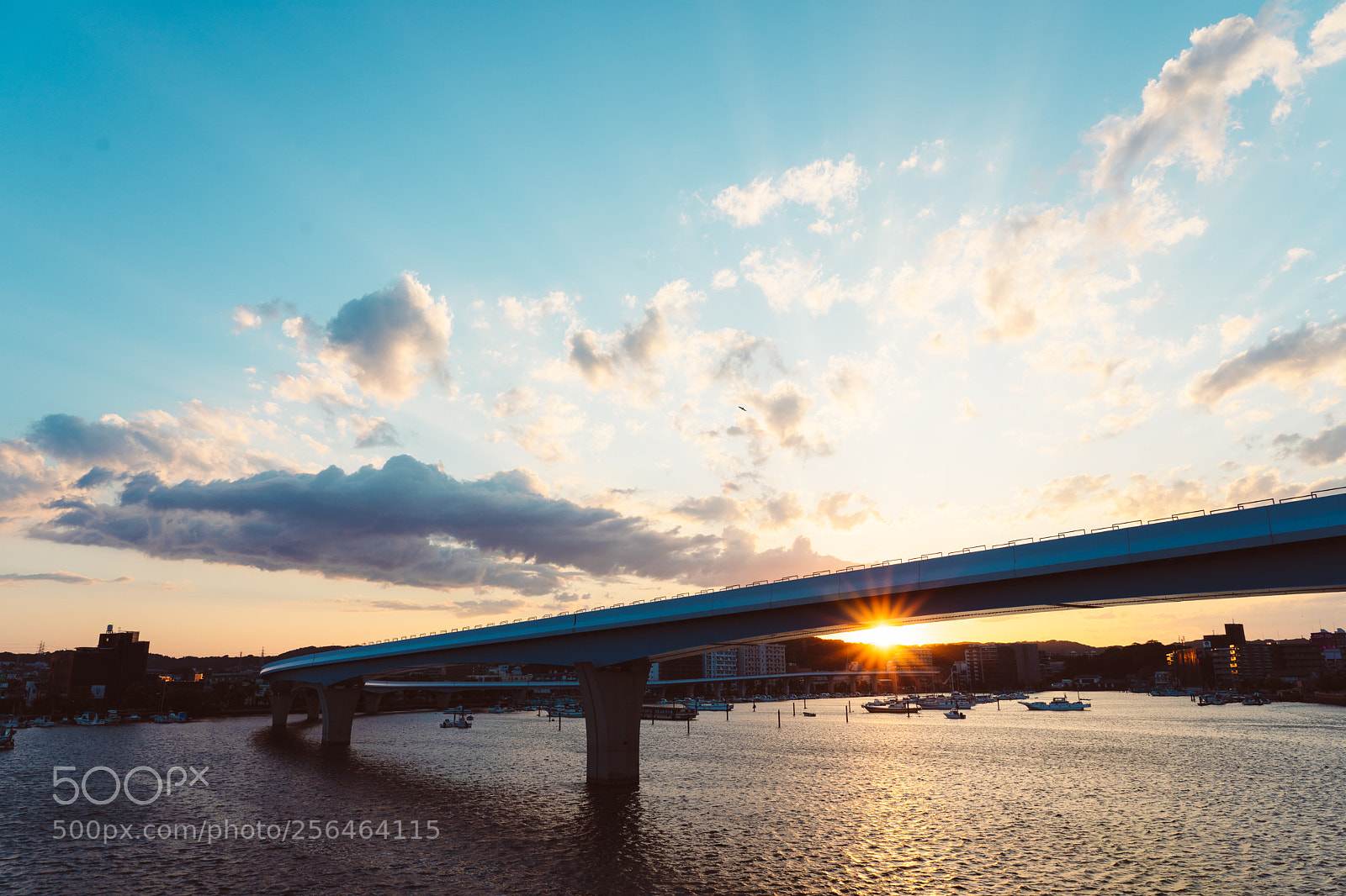 Sony a7 III sample photo. Beautiful sunset photography