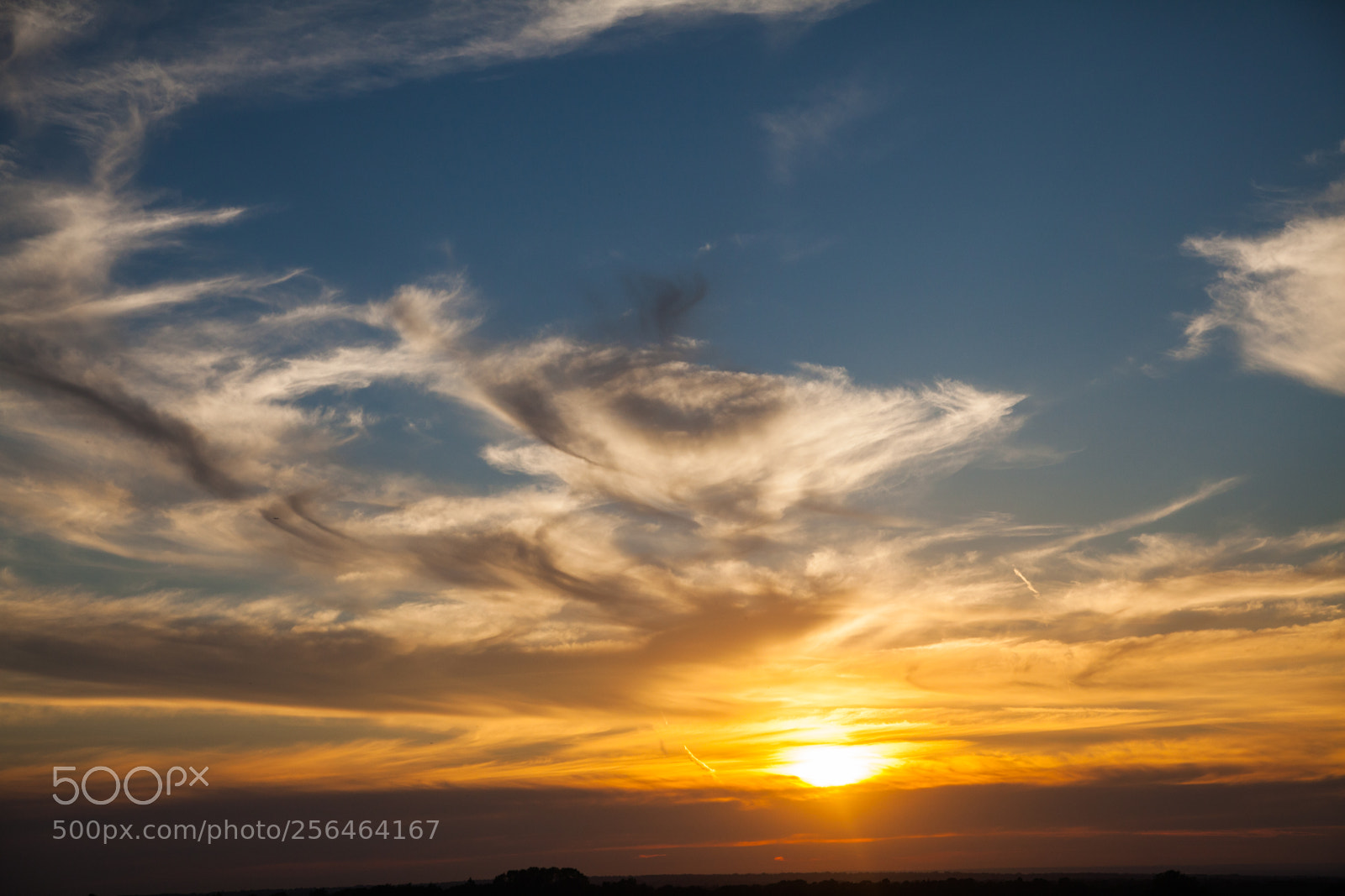Canon EOS 5D Mark II sample photo. Untitled photography