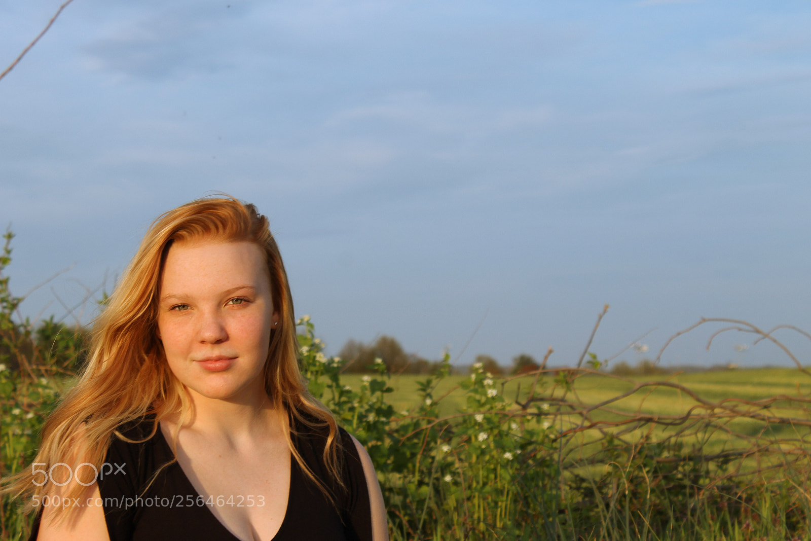 Canon EOS 1100D (EOS Rebel T3 / EOS Kiss X50) sample photo. Golden hour iii photography