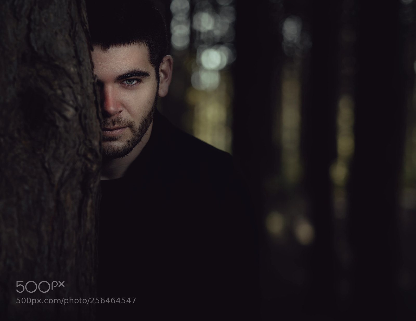 Nikon D750 sample photo. Twilight photography