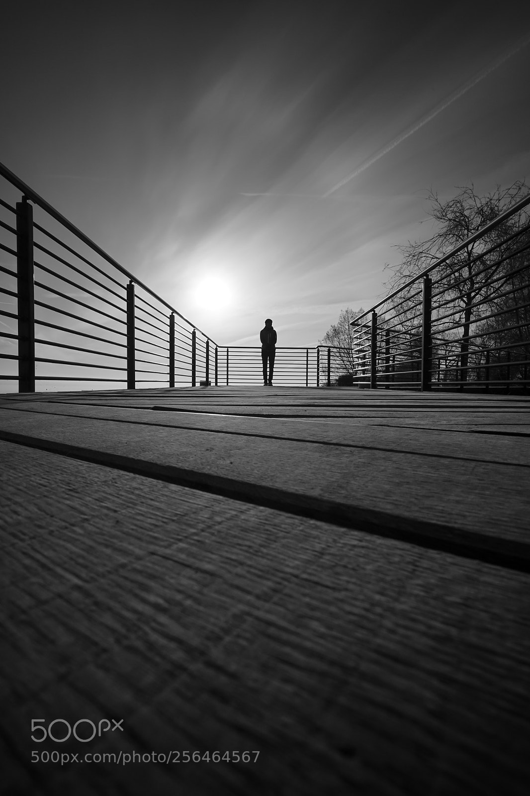 Sony a7 II sample photo. Blick auf den bodensee photography