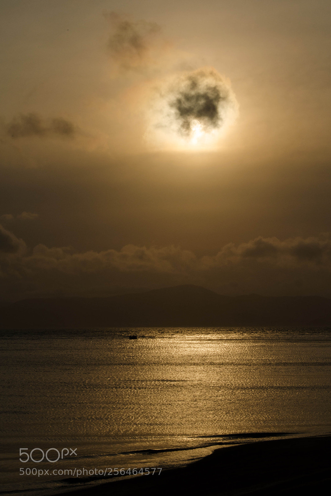 Nikon D5100 sample photo. Gold photography