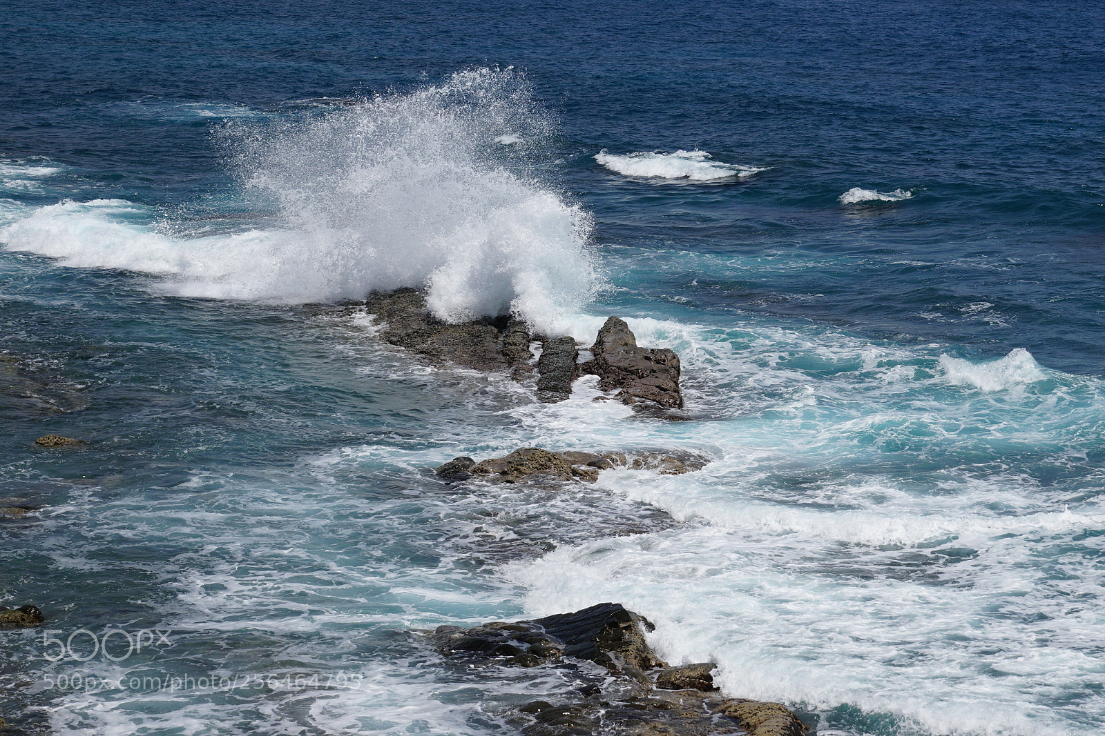Sony DT 16-50mm F2.8 SSM sample photo. Milky blues photography