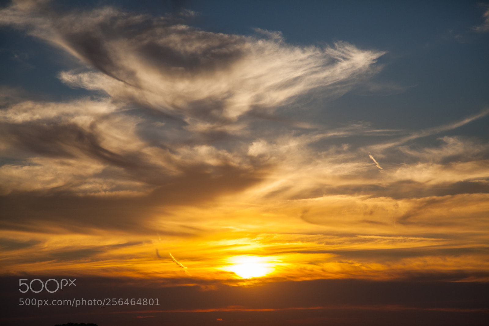 Canon EOS 5D Mark II sample photo. Untitled photography