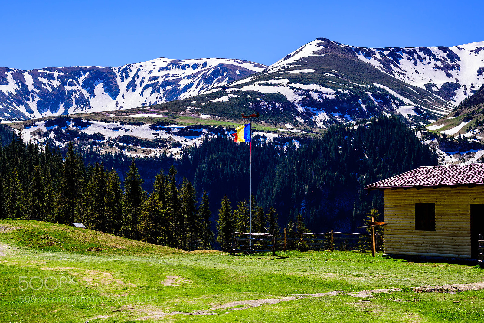 Nikon D750 sample photo. Romainian mountains photography