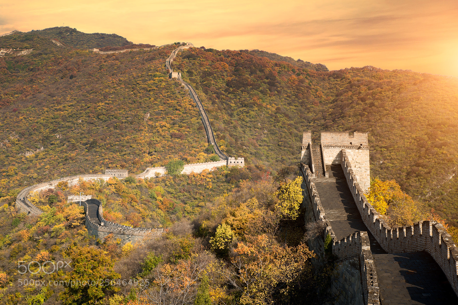Nikon D800 sample photo. China the great wall photography
