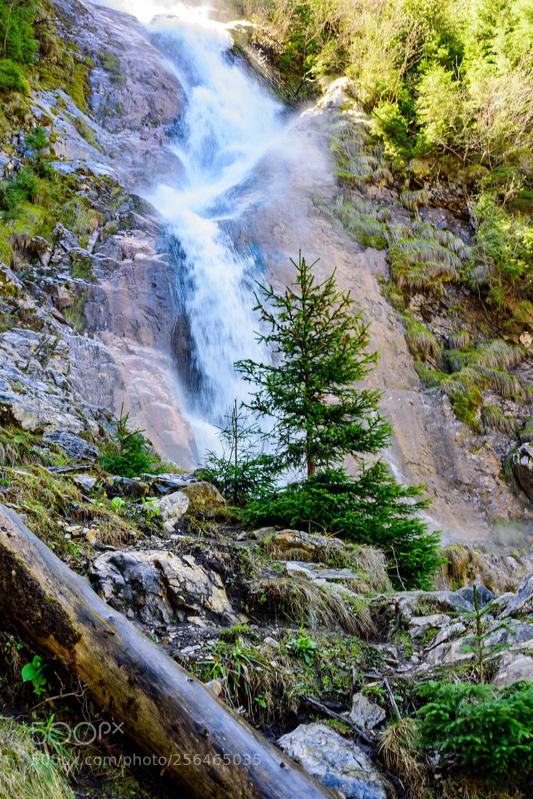 Nikon D750 sample photo. Horses cascade cascada cailor photography