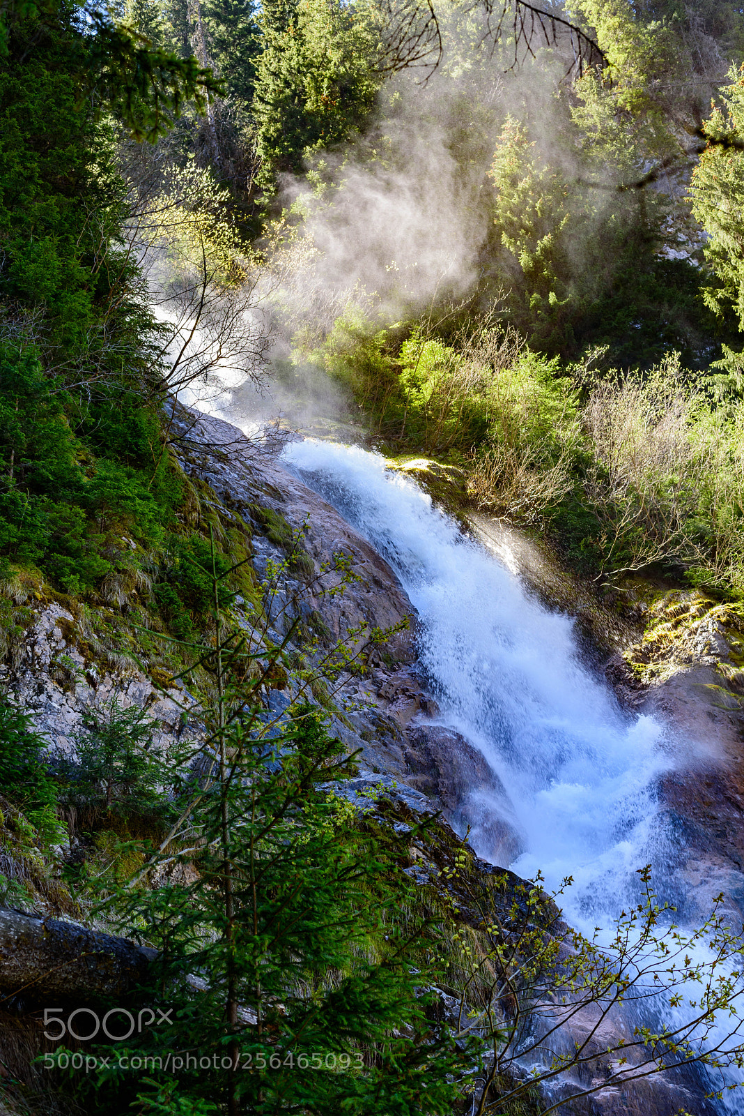 Nikon D750 sample photo. Horses cascade cascada cailor photography