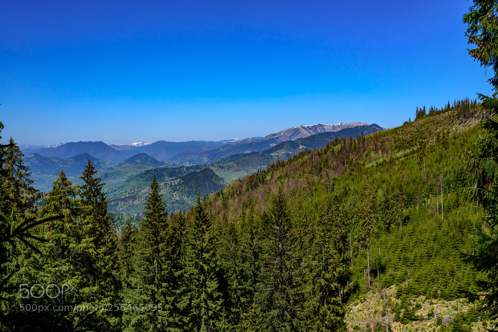Nikon D750 sample photo. Romainian mountains borsa photography