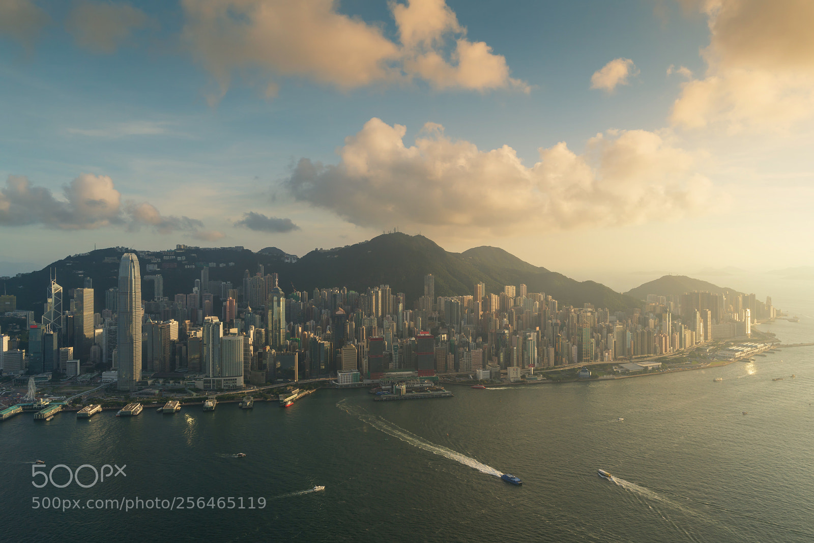 Sony a7R II sample photo. Aerial view of hong photography