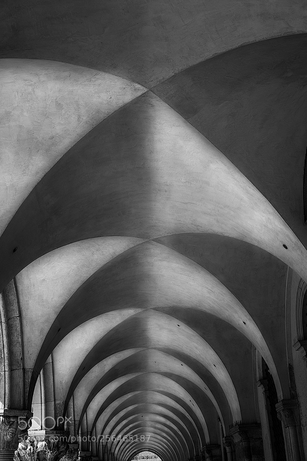Nikon D5 sample photo. Lines and patterns ... photography