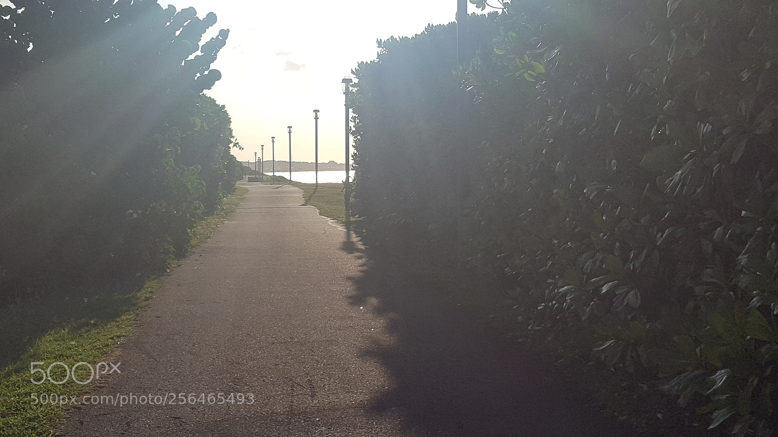 Samsung GALAXY S6 edge sample photo. A labyrinth ???? photography