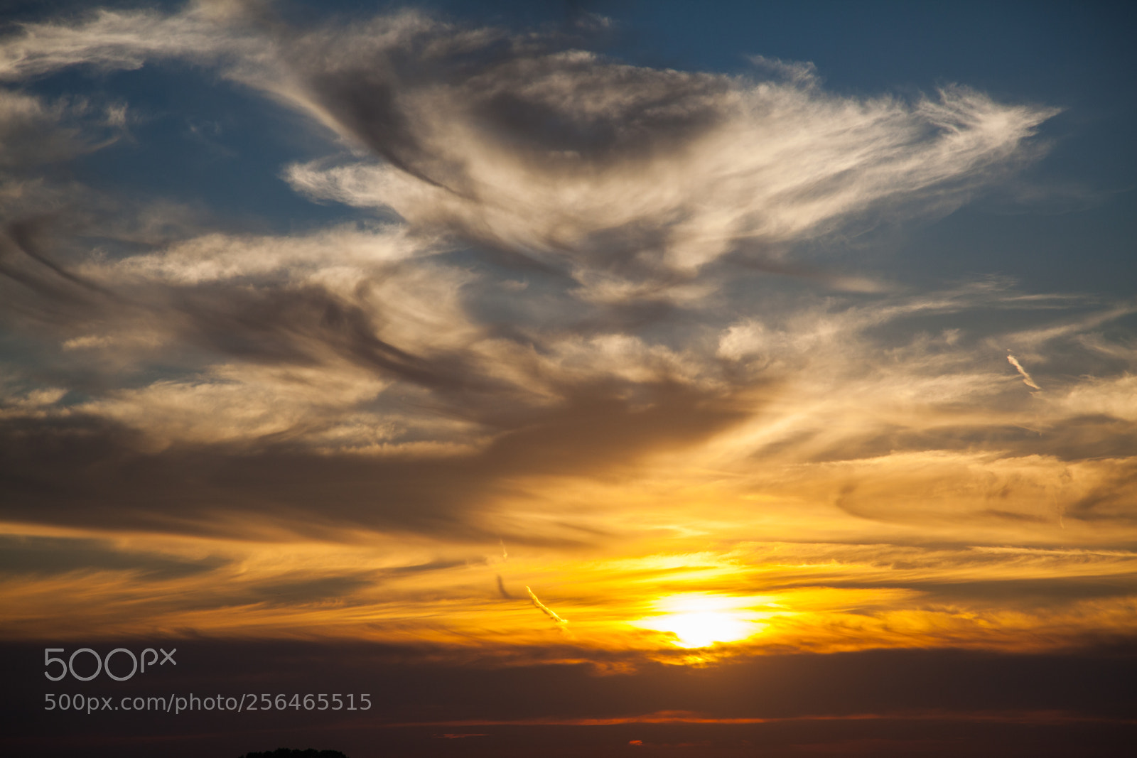 Canon EOS 5D Mark II sample photo. Untitled photography