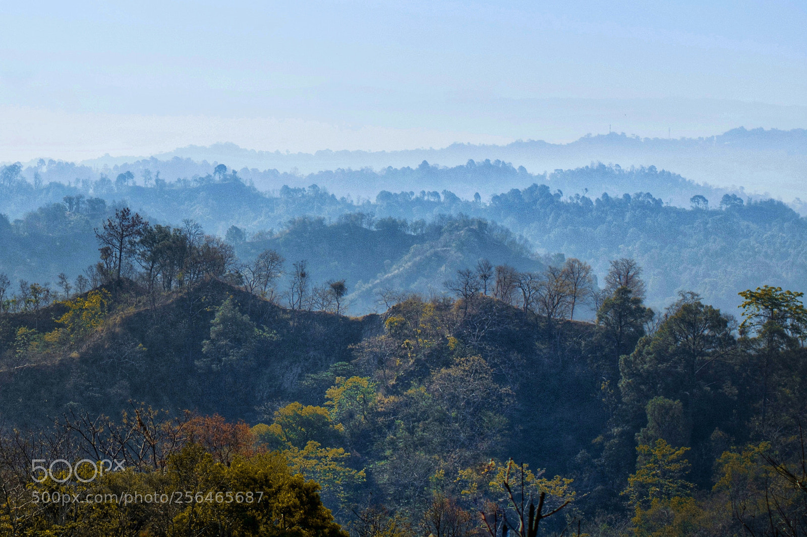 Nikon D5200 sample photo. Beautiful nature photography