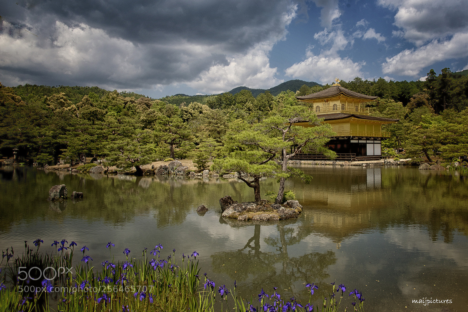 Nikon D750 sample photo. The golden temple photography