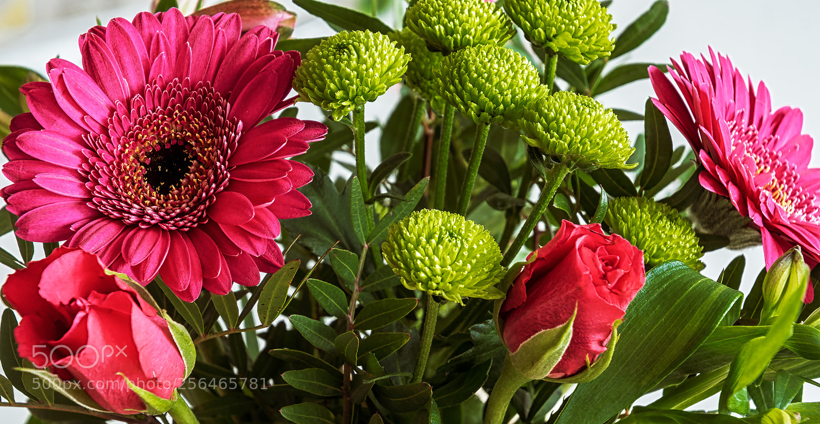 Sony ILCA-77M2 sample photo. Happy birthday photography