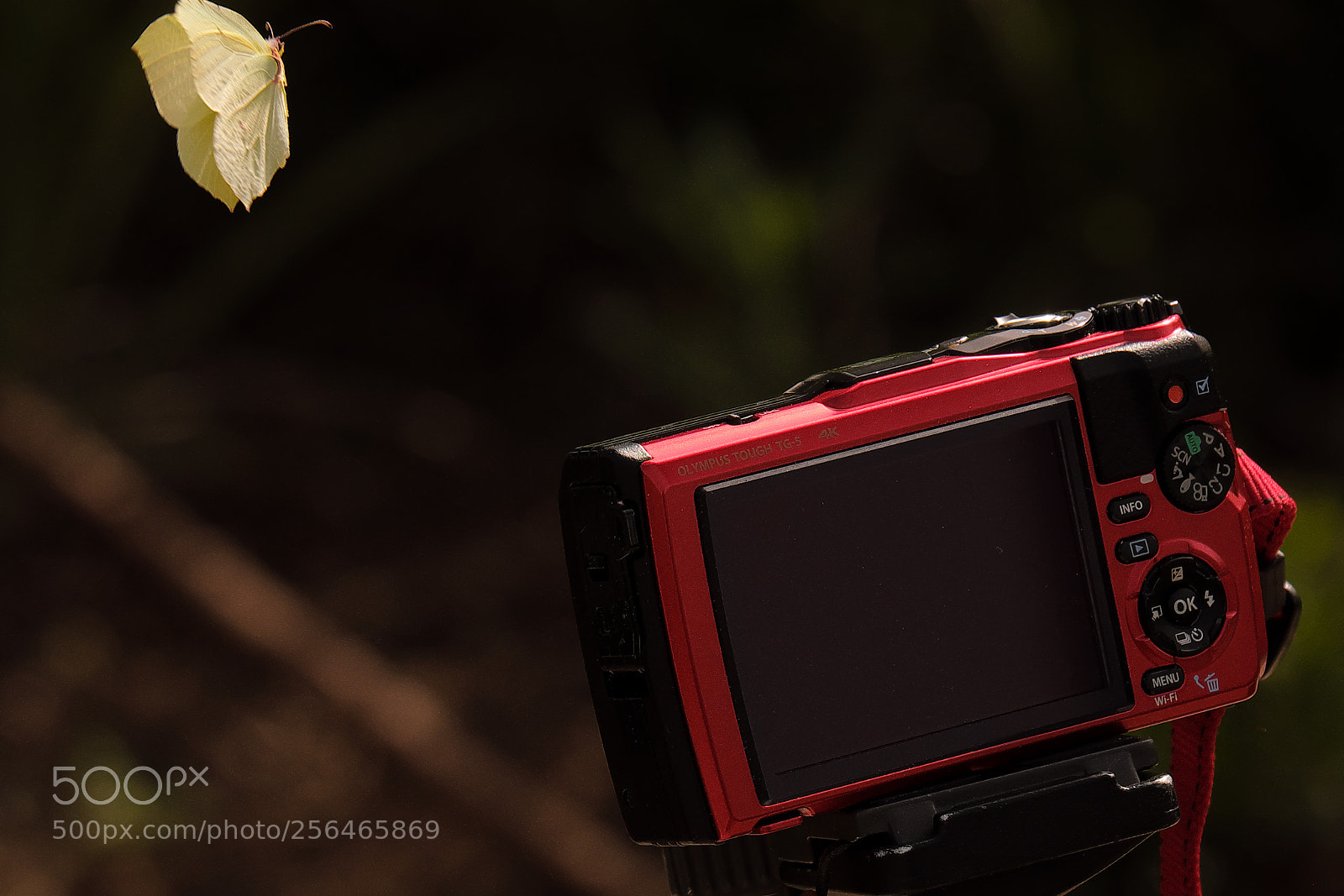 Fujifilm X-T2 sample photo. Fairies hunt - are photography