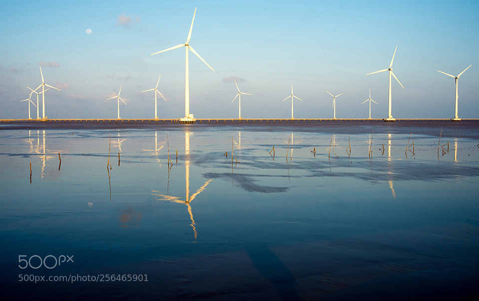 Nikon D600 sample photo. The wind power plant photography