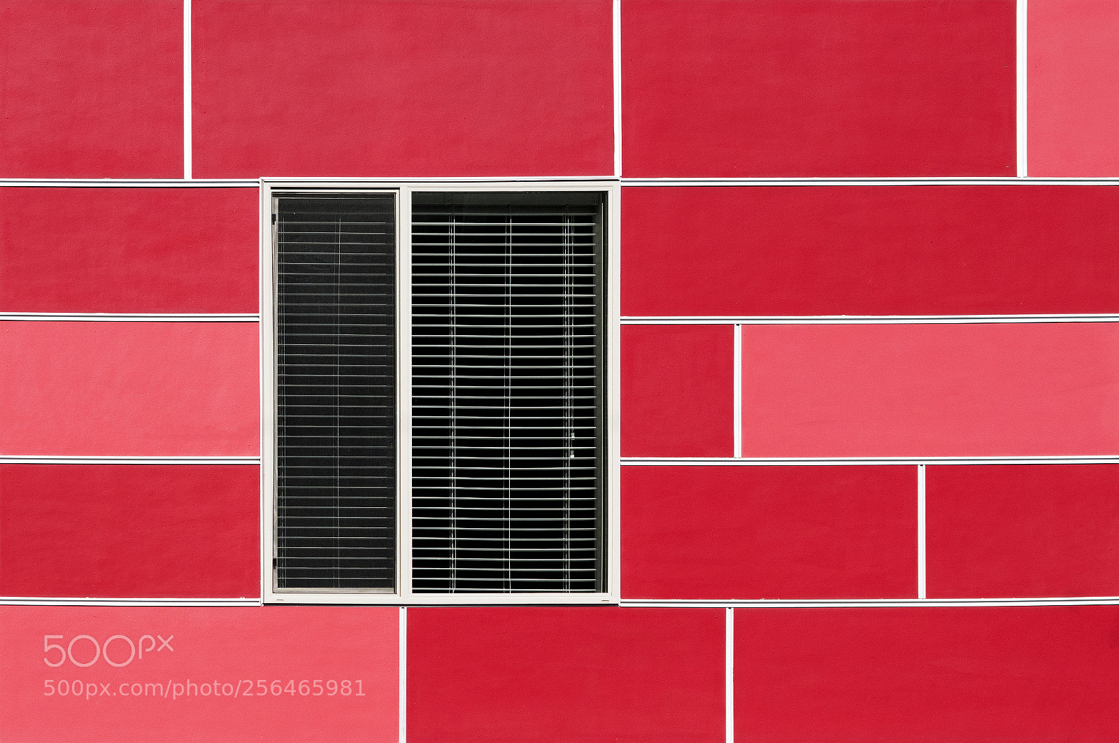 Nikon D5500 sample photo. Indiana windows 2 photography