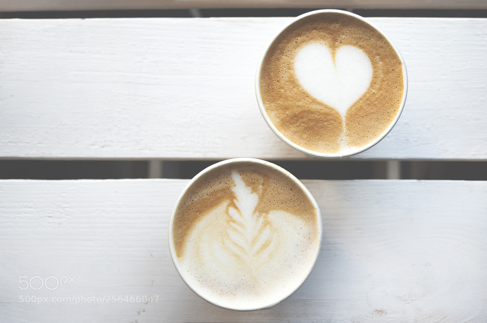 Nikon D5500 sample photo. Two paper cups of photography