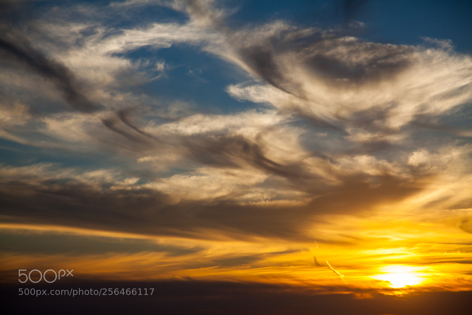 Canon EOS 5D Mark II sample photo. Untitled photography