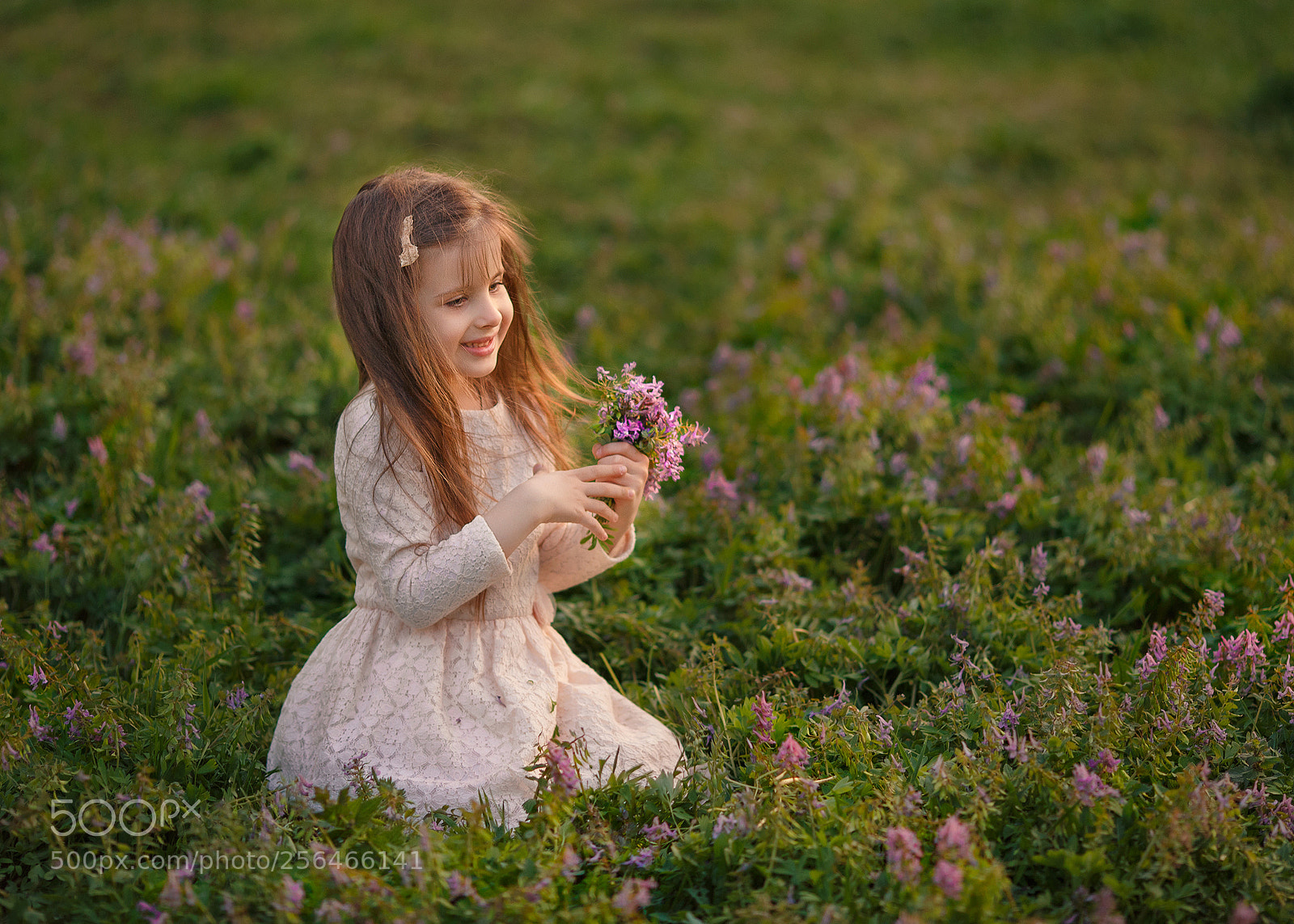 Canon EOS 6D sample photo. Melody of spring photography